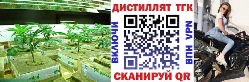 ТГК вейп с тгк  купить наркотики сайты  Кашин 