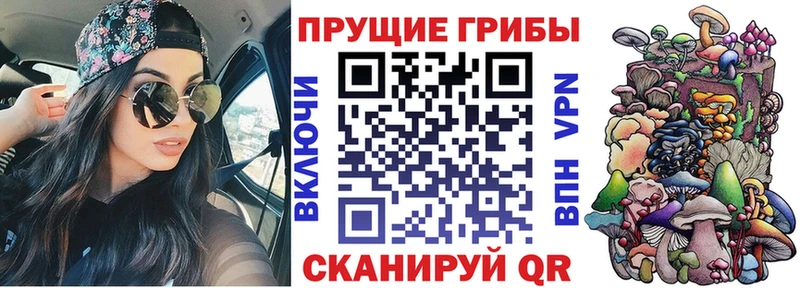 сайты даркнета официальный сайт  кракен зеркало  Псилоцибиновые грибы Psilocybine cubensis  Кашин  магазин  наркотиков 
